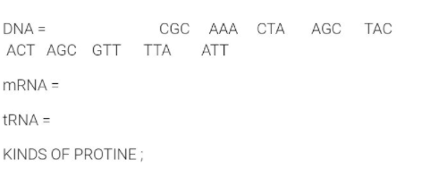 DNA =
CGC AAA
СТА
AGC
TAC
АСT AGC GTT
TTA
ATT
MRNA =
TRNA =
KINDS OF PROTINE ;

