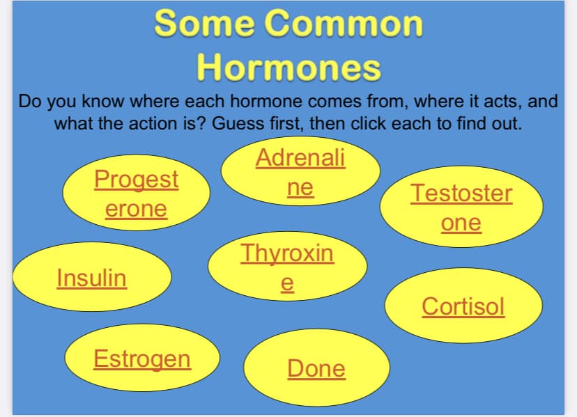Some Common
Hormones
Do you know where each hormone comes from, where it acts, and
what the action is? Guess first, then click each to find out.
Adrenali
Progest
ne
Testoster
erone
one
Thyroxin
Insulin
e
Cortisol
Estrogen
Done
