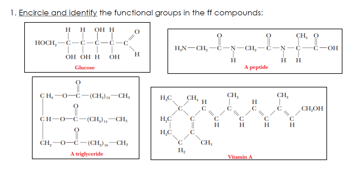 1. Encircle and identify the functional groups in the ff compounds:
H
H
ОН Н
СH, О
НОСН,
С — С
C
H,N- CH,
N-CH, -
С —N— С
C
ОН
ОН ОН Н
ОН
H
H.
H
Glucose
A peptide
C H,
- (CH) 12 — СН,
H,C
CH,
CH,
CH,
H
CH,OH
СH-0—С — (CH,) , — CH,
H,C
H
H.
H.
H.C
CH,"
-(CH,)16'
CH3
`CH,
H2
A triglyceride
Vitamin A
