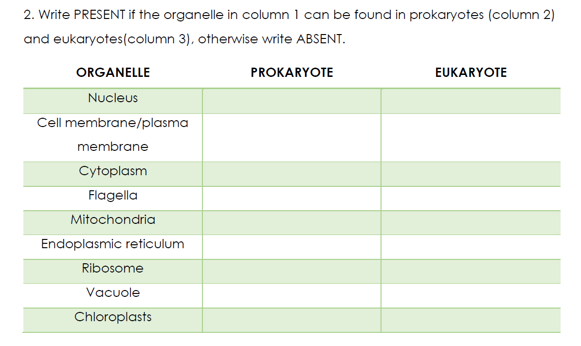 2. Write PRESENT if the organelle in column 1 can be found in prokaryotes (column 2)
and eukaryotes(column 3), otherwise write ABSENT.
ORGANELLE
PROKARYOTE
EUKARYOTE
Nucleus
Cell membrane/plasma
membrane
Cytoplasm
Flagella
Mitochondria
Endoplasmic reticulum
Ribosome
Vacuole
Chloroplasts
