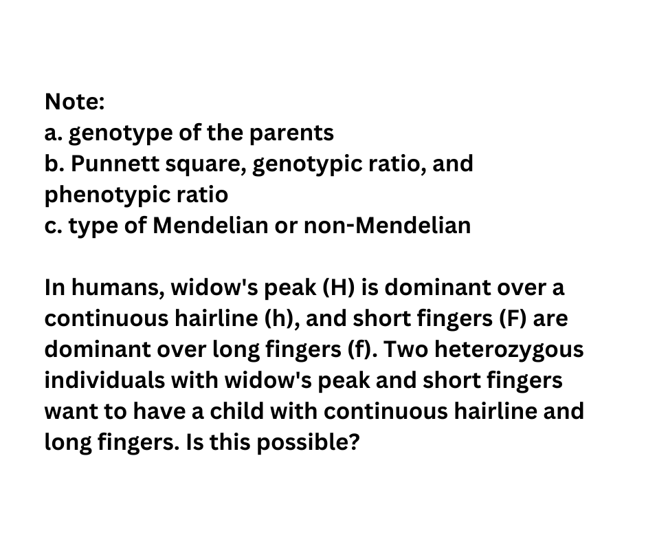 Note:
a. genotype of the parents
b. Punnett square, genotypic ratio, and
phenotypic ratio
c. type of Mendelian or non-Mendelian
In humans, widow's peak (H) is dominant over a
continuous hairline (h), and short fingers (F) are
dominant over long fingers (f). Two heterozygous
individuals with widow's peak and short fingers
want to have a child with continuous hairline and
long fingers. Is this possible?