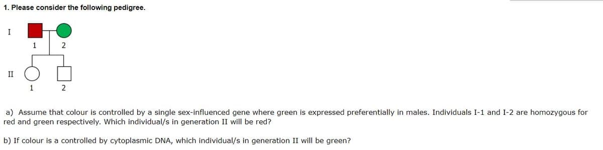 1. Please consider the following pedigree.
I
1
II
1
a) Assume that colour is controlled by a single sex-influenced gene where green is expressed preferentially in males. Individuals I-1 and I-2 are homozygous for
red and green respectively. Which individual/s in generation II will be red?
b) If colour is a controlled by cytoplasmic DNA, which individual/s in generation II will be green?
