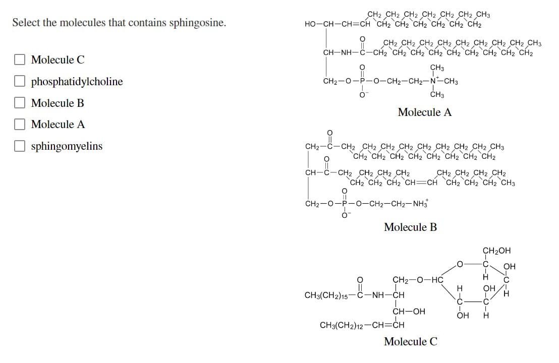 Select the molecules that contains sphingosine.
Molecule C
phosphatidylcholine
Molecule B
Molecule A
sphingomyelins
CH2 CH2 CH2 CH2 CH2 CH2 CH3
HO-CH-CH=CH CH2 CH2 CH2 CH₂ CH₂ CH2
O CH2 CH2 CH2 CH2 CH2 CH2 CH2 CH2 CH3
CH-NH-C-CH₂ CH₂ CH2 CH2 CH₂ CH₂ CH₂ CH2 CH2
O
CH3
CH₂-O-P -O–CH2–CH2-N-CH3
CH3
O
Molecule A
_å_
CH₂ -CH2 CH2 CH2 CH2 CH2 CH2 CH2 CH2 CH3
O
CH₂ CH₂ CH₂ CH2 CH2 CH2 CH₂ CH₂
CH-C-CH₂ CH2 CH2 CH2
CH2 CH2 CH2 CH₂
CH₂ CH₂ CH₂ CH=CH CH₂ CH₂ CH₂ CH3
O
CH₂-O-P-O-CH₂-CH₂-NH3
0
Molecule B
CH₂OH
O
CH3(CH2)15—C-NH-CH
CH3(CH2)12-CH=CH
CH2-O-HC
CH-OH
Molecule C
0
2-9-1
H
OH
-0-1 3-0-1
3-0-1
OH
C
H