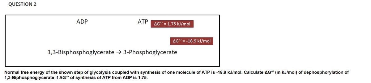 QUESTION 2
ADP
AG"=-18.9 kJ/mol
1,3-Bisphosphoglycerate → 3-Phosphoglycerate
Normal free energy of the shown step of glycolysis coupled with synthesis of one molecule of ATP is -18.9 kJ/mol. Calculate AG" (in kJ/mol) of dephosphorylation of
1,3-Biphosphoglycerate if AG"¹ of synthesis of ATP from ADP is 1.75.
ATP AG" = 1.75 kJ/mol