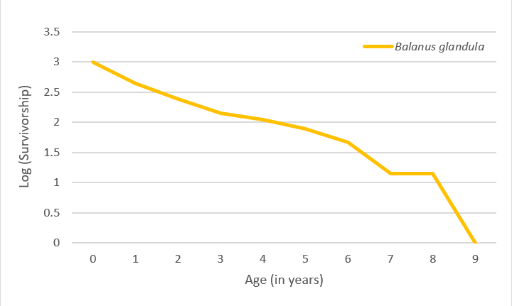 3.5
Balanus glandula
3
2.5
2
1.5
1
0.5
1
2
4
5
6
7
8
9
Age (in years)
00
3.
Log (Survivorship)
