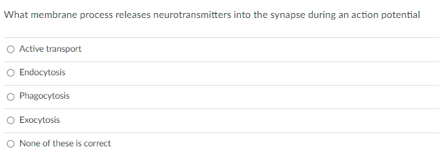 What membrane process releases neurotransmitters into the synapse during an action potential
O Active transport
O Endocytosis
O Phagocytosis
O Exocytosis
None of these is correct
