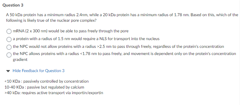 Question 3
A 50 kDa protein has a minimum radius 2.4nm, while a 20 kDa protein has a minimum radius of 1.78 nm. Based on this, which of the
following is likely true of the nuclear pore complex?
mRNA (2 x 300 nm) would be able to pass freely through the pore
a protein with a radius of 1.5 nm would require a NLS for transport into the nucleus
the NPC would not allow proteins with a radius >2.5 nm to pass through freely, regardless of the protein's concentration
the NPC allows proteins with a radius <1.78 nm to pass freely, and movement is dependent only on the protein's concentration
gradient
Hide Feedback for Question 3
<10 KDa : passively controlled by concentration
10-40 KDa : passive but regulated by calcium
>40 kDa: requires active transport via importin/exportin