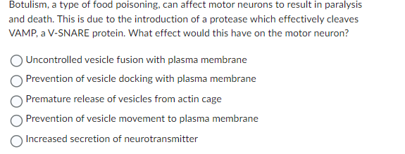 Botulism, a type of food poisoning, can affect motor neurons to result in paralysis
and death. This is due to the introduction of a protease which effectively cleaves
VAMP, a V-SNARE protein. What effect would this have on the motor neuron?
Uncontrolled vesicle fusion with plasma membrane
Prevention of vesicle docking with plasma membrane
Premature release of vesicles from actin cage
Prevention of vesicle movement to plasma membrane
Increased secretion of neurotransmitter