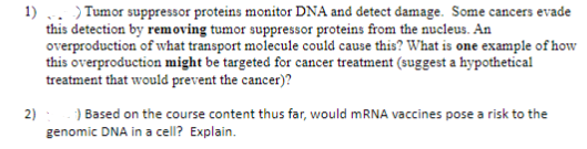 1). Tumor suppressor proteins monitor DNA and detect damage. Some cancers evade
this detection by removing tumor suppressor proteins from the nucleus. An
overproduction of what transport molecule could cause this? What is one example of how
this overproduction might be targeted for cancer treatment (suggest a hypothetical
treatment that would prevent the cancer)?
2)
:) Based on the course content thus far, would mRNA vaccines pose a risk to the
genomic DNA in a cell? Explain.