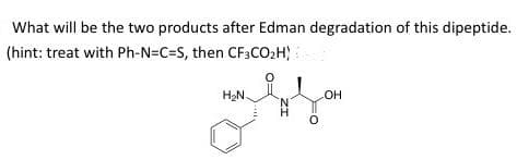 What will be the two products after Edman degradation of this dipeptide.
(hint: treat with Ph-N=C=S, then CF3CO₂H)
H₂N.
-OH
ZI
0