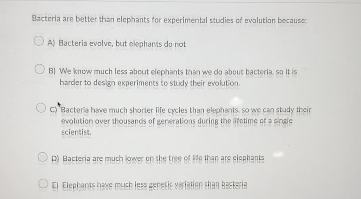 Bacteria are better than elephants for experimental studies of evolution because:
A) Bacteria evolve, but elephants do not
B) We know much less about elephants than we do about bacteria, so it is
harder to design experiments to study their evolution.
C) Bacteria have much shorter life cycles than elephants, so we can study their
evolution over thousands of generations during the lifetime of a single
dons during the meattle of
usands
single
scientist.
scentist
D)
Bacteria are much lower on the tree of life than are elephants
OE) Elephants have much less genetic variation than bacteria