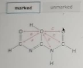 marked
0-
C
H
unmarked
C
HIN
=O
C
H