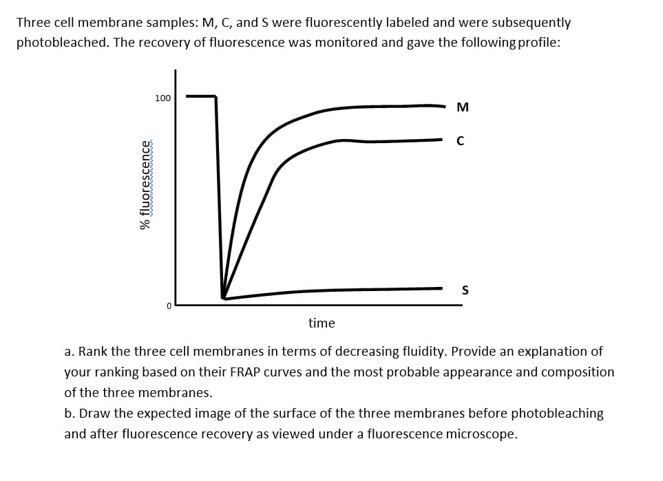 Three cell membrane samples: M, C, and S were fluorescently labeled and were subsequently
photobleached. The recovery of fluorescence was monitored and gave the following profile:
100
M
S
time
a. Rank the three cell membranes in terms of decreasing fluidity. Provide an explanation of
your ranking based on their FRAP curves and the most probable appearance and composition
of the three membranes.
b. Draw the expected image of the surface of the three membranes before photobleaching
and after fluorescence recovery as viewed under a fluorescence microscope.
% fluorescence
