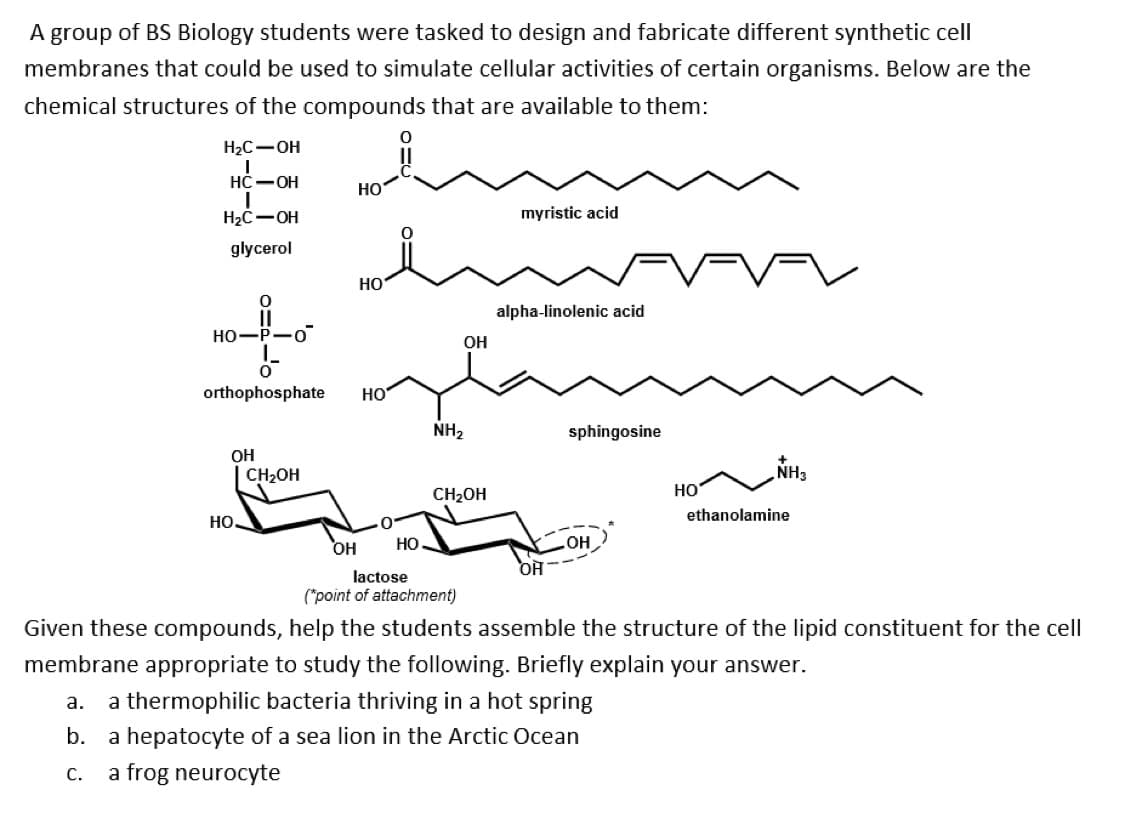 A group of BS Biology students were tasked to design and fabricate different synthetic cell
membranes that could be used to simulate cellular activities of certain organisms. Below are the
chemical structures of the compounds that are available to them:
H2C-OH
НС — ОН
Но
H2C-OH
myristic acid
glycerol
HO
alpha-linolenic acid
Но—Р—о
OH
orthophosphate
HO
NH2
sphingosine
OH
CH2OH
NH3
CH2OH
Но
ethanolamine
Но.
OH
Но
OH
lactose
HO
(*point of attachment)
Given these compounds, help the students assemble the structure of the lipid constituent for the cell
membrane appropriate to study the following. Briefly explain your answer.
а.
a thermophilic bacteria thriving in a hot spring
b.
a hepatocyte of a sea lion in the Arctic Ocean
С.
a frog neurocyte

