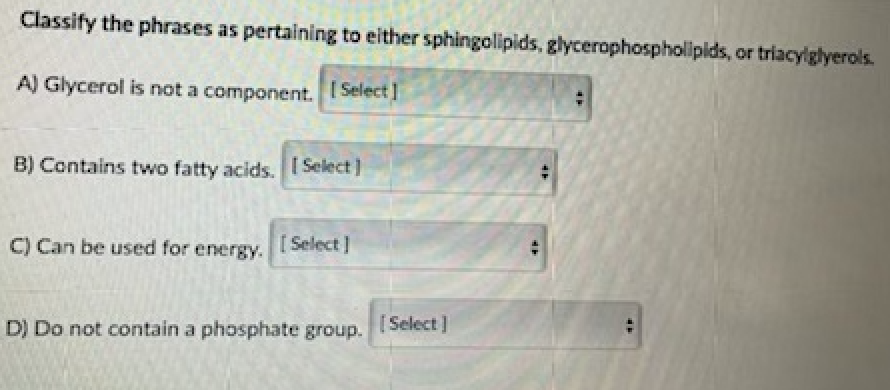 Classify the phrases as pertaining to either sphingolipids, glycerophospholipids, or triacylglyerols.
AJ Glycerol is not a component.
[ Select ]
B) Contains two fatty acids. [ Select )
C) Can be used for energy.
[ Select ]
[Select ]
D) Do not contain a phosphate group.
