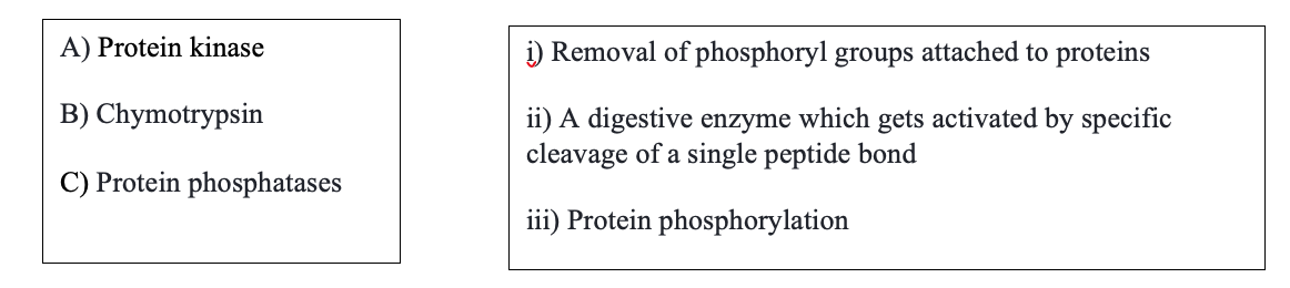 A) Protein kinase
i) Removal of phosphoryl groups attached to proteins
B) Chymotrypsin
ii) A digestive enzyme which gets activated by specific
cleavage of a single peptide bond
C) Protein phosphatases
iii) Protein phosphorylation
