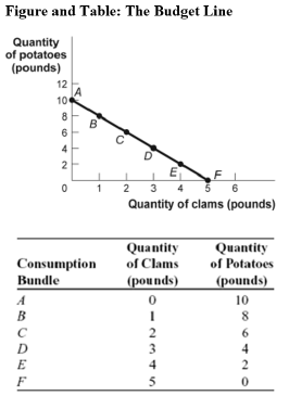 Figure and Table: The Budget Line
Quantity
of potatoes
(pounds)
12
IA
10
8
B
6
2
E
5 6
Quantity of clams (pounds)
1
2
3
Quantity
of Clams
Quantity
of Potatoes
Consumption
Bundle
(pounds)
(pounds)
A
10
В
6
D
3
4
E
4
2
F
5
