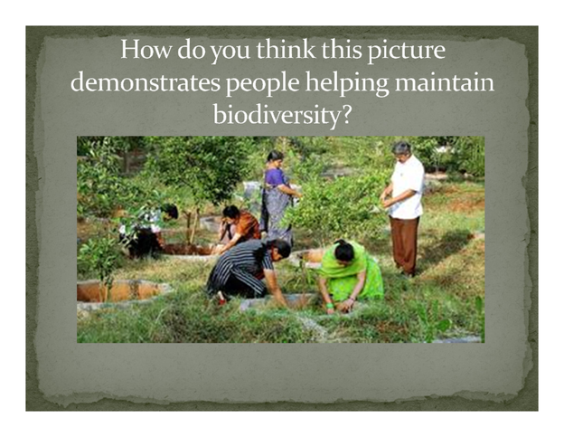 How do you think this picture
demonstrates people helping maintain
biodiversity?