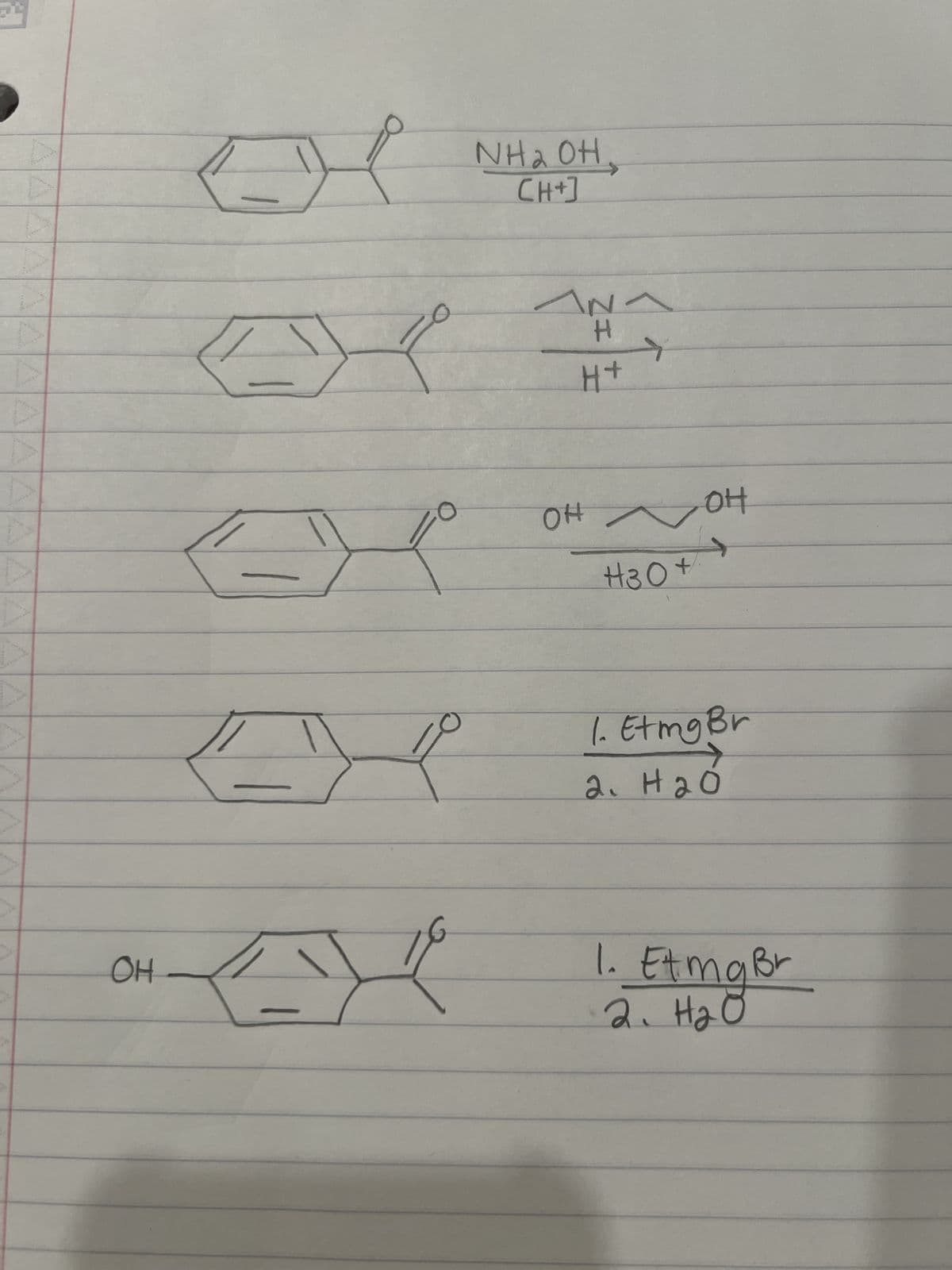 A
NH2 OH,
[H+]
EX
N
H
H+
OH
H30+
он
1. Etmg Br
2. H2O
OH
1. Etmg Br
2. H2O