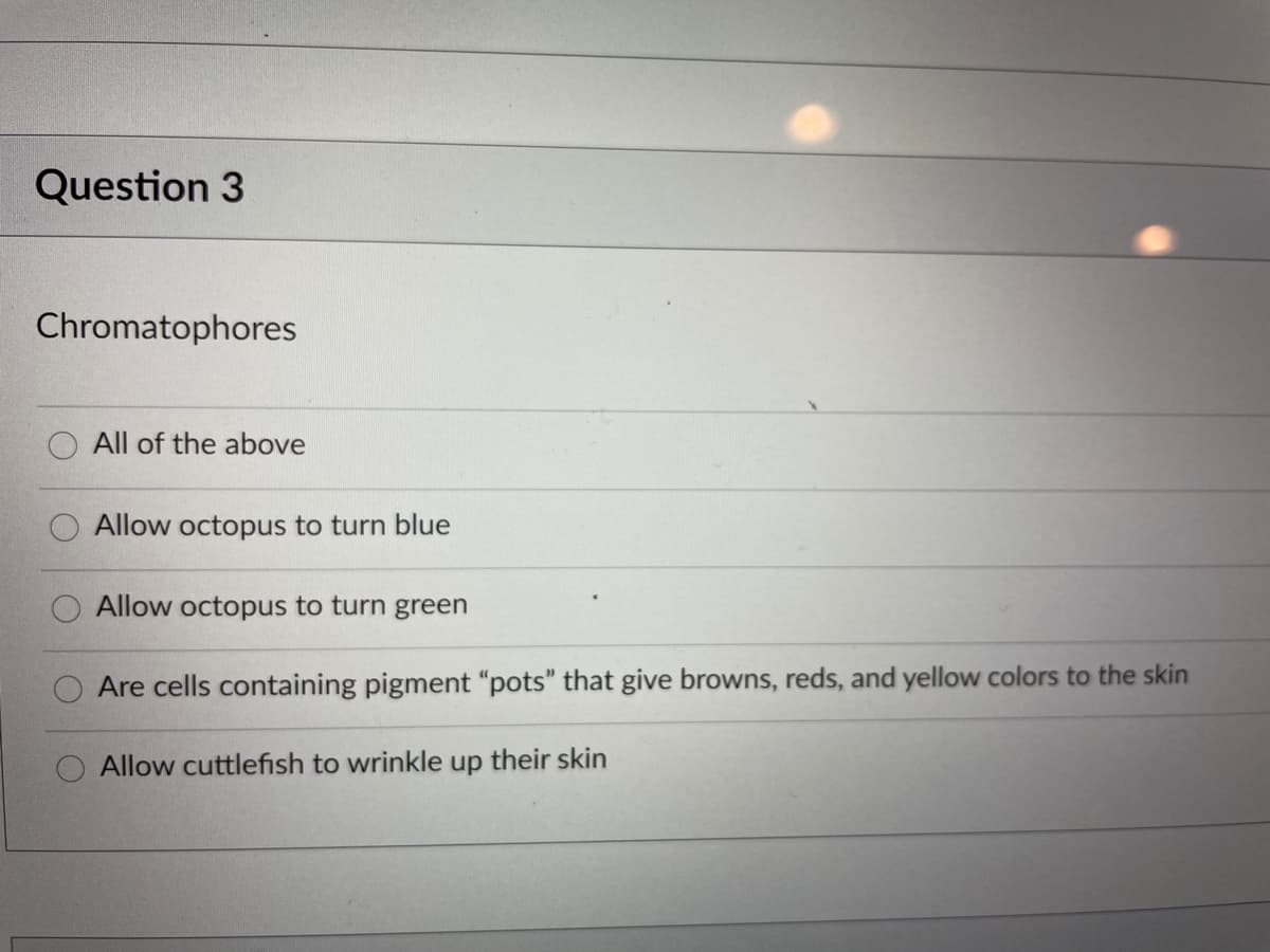 Question 3
Chromatophores
All of the above
Allow octopus to turn blue
Allow octopus to turn green
Are cells containing pigment "pots" that give browns, reds, and yellow colors to the skin
Allow cuttlefish to wrinkle up their skin
