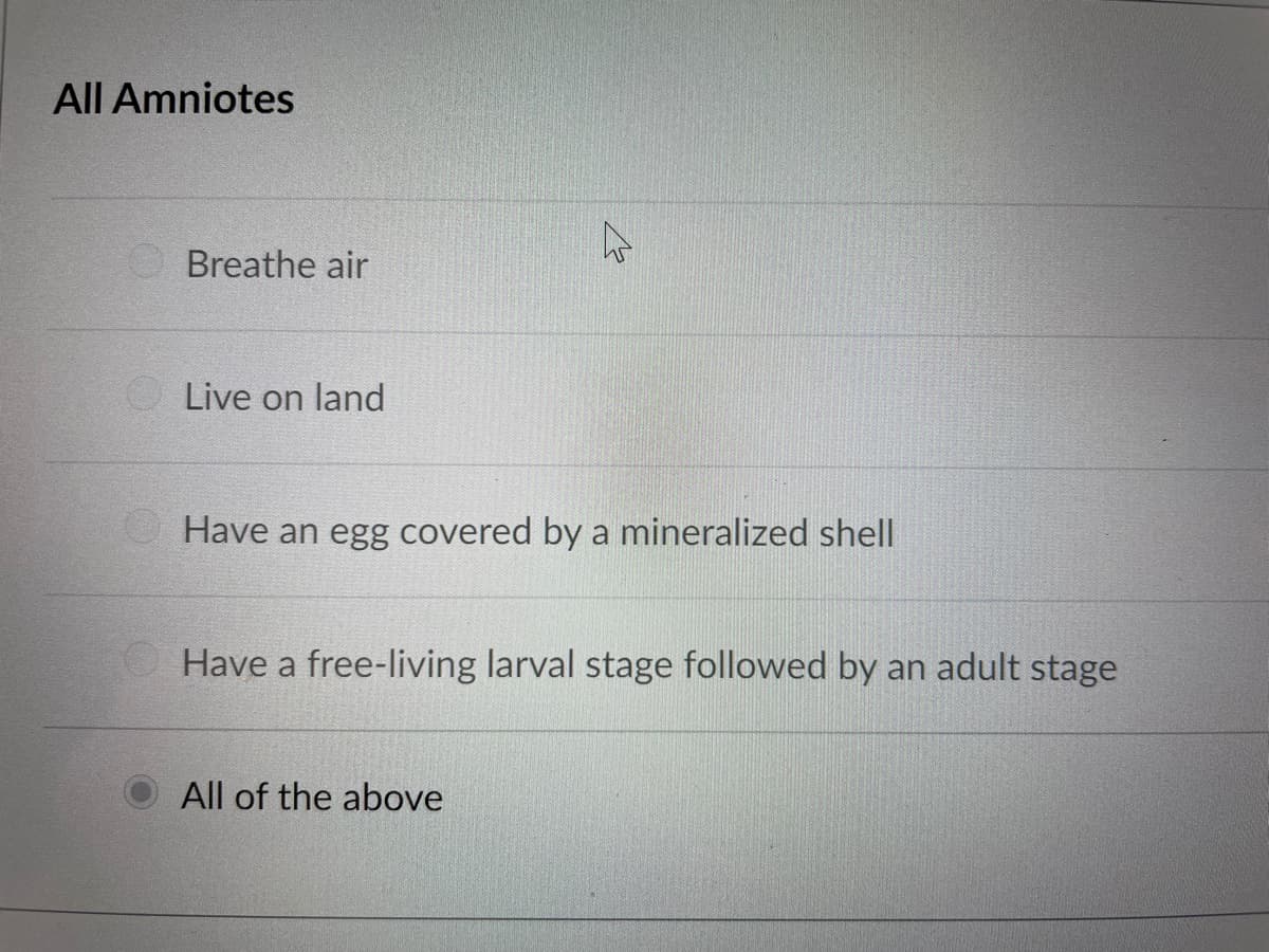 All Amniotes
Breathe air
Live on land
Have an egg covered by a mineralized shell
Have a free-living larval stage followed by an adult stage
All of the above
