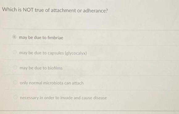 Which is NOT true of attachment or adherance?
may be due to fimbriae
Omay be due to capsules (glycocalyx)
may be due to biofilms
only normal microbiota can attach
necessary in order to invade and cause disease
