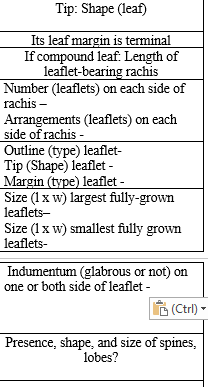 Tip: Shape (leaf)
Its leaf margin is terminal
If compound leaf: Length of
leaflet-bearing rachis
Number (leaflets) on each side of
rachis –
Arrangements (leaflets) on each
side of rachis -
Outline (type) leaflet-
Tip (Shape) leaflet -
Margin (type) leaflet -
Size (1x w) largest fully-grown
leaflets-
Size (1x w) smallest fully grown
leaflets-
Indumentum (glabrous or not) on
one or both side of leaflet -
(Ctrl) -
Presence, shape, and size of spines,
lobes?
