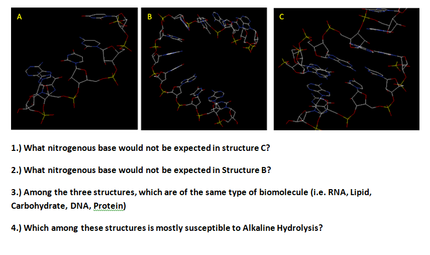 А
B
1.) What nitrogenous base would not be expected in structure C?
2.) What nitrogenous base would not be expected in Structure B?
3.) Among the three structures, which are of the same type of biomolecule (i.e. RNA, Lipid,
Carbohydrate, DNA, Protein)
4.) Which among these structures is mostly susceptible to Alkaline Hydrolysis?
