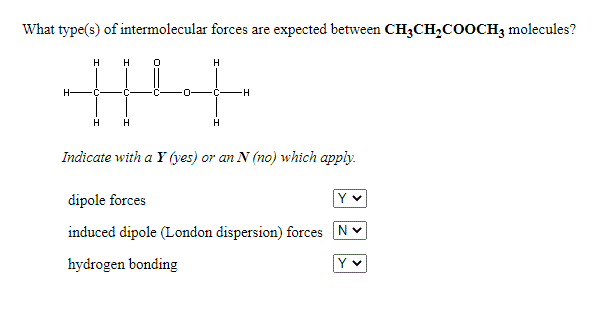 What type(s) of intermolecular forces are expected between CH3CH,C0OCH3 molecules?
H
H
H
H-
C-
-0-
C-
H
H
H
Indicate with a Y (yes) or an N (no) which apply.
dipole forces
induced dipole (London dispersion) forces NV
hydrogen bonding
