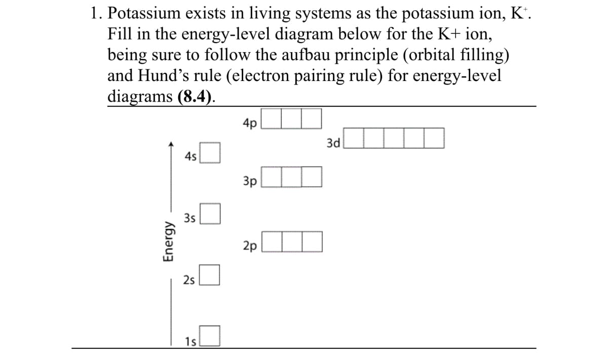 1. Potassium exists in living systems as the potassium ion, K".
Fill in the energy-level diagram below for the K+ ion,
being sure to follow the aufbau principle (orbital filling)
and Hund's rule (electron pairing rule) for energy-level
diagrams (8.4).
4p
3d
4s
3p
3s
2p
2s
1s
Energy
