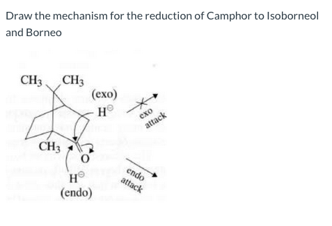 Draw the mechanism for the reduction of Camphor to Isoborneol
and Borneo
CH3
CH3
(ехо)
exo
attack
CH3
HO
(endo)
endo
attack

