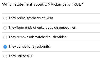 Which statement about DNA clamps is TRUE?
They prime synthesis of DNA.
They form ends of eukaryotic chromosomes.
They remove mismatched nucleotides.
They consist of B2 subunits.
They utilize ATP.
