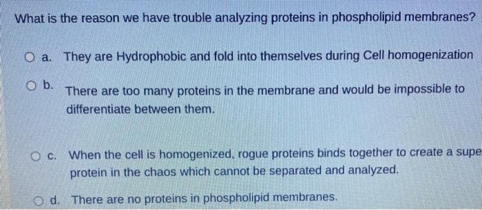 What is the reason we have trouble analyzing proteins in phospholipid membranes?
O a. They are Hydrophobic and fold into themselves during Cell homogenization
Ob.
There are too many proteins in the membrane and would be impossible to
differentiate between them.
O c. When the cell is homogenized, rogue proteins binds together to create a supe
protein in the chaos which cannot be separated and analyzed.
O d. There are no proteins in phospholipid membranes.
