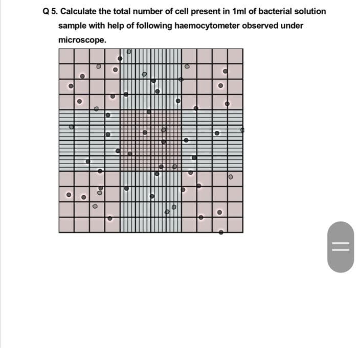 Q 5. Calculate the total number of cell present in 1ml of bacterial solution
sample with help of following haemocytometer observed under
microscope.
