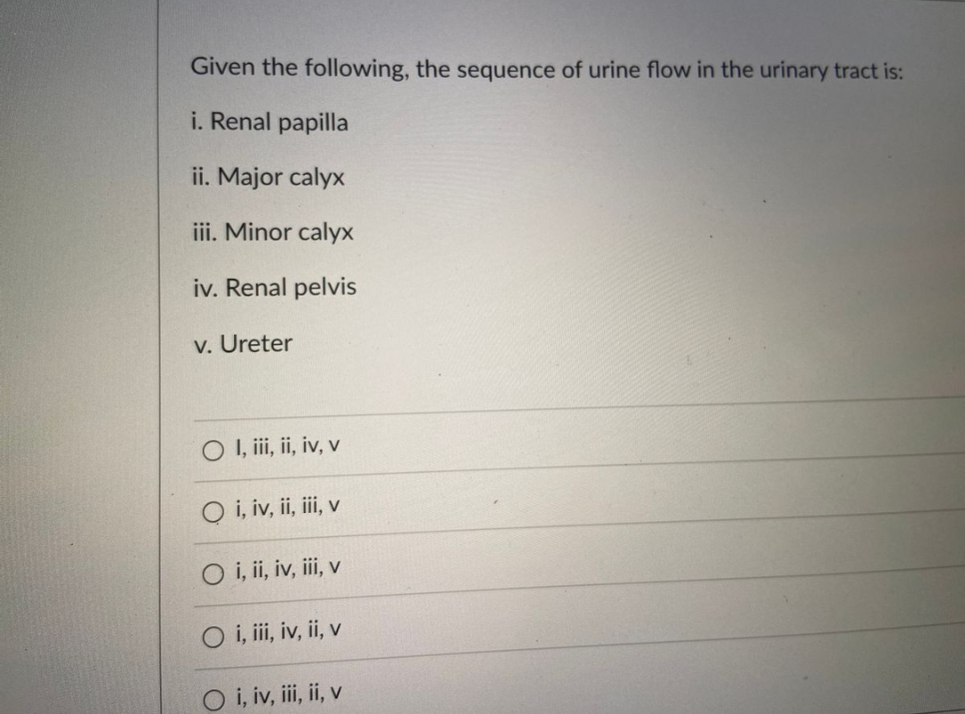 Given the following, the sequence of urine flow in the urinary tract is:
i. Renal papilla
ii. Major calyx
iii. Minor calyx
iv. Renal pelvis
v. Ureter
O I, iii, ii, iv, v
O i, iv, ii, iii, v
O i, ii, iv, iii, v
O i, iii, iv, ii, v
O i, iv, iii, ii, v