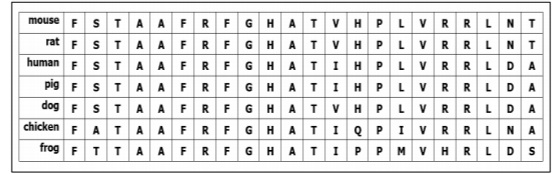 mouse FSTA AFRFGHATVHPLVRRLN T
rat F STA AFRFGH ATVHPLVRRLNT
human FSTA AFRFG HATIHPLVRRLDA
pig FSTAAFRFGH ATIHPL VRRLDA
dog FSTAAFRFGHATVHPLVRRL DA
chicken FATA AFRFG HATIQP I VRRLNA
frog FTTA A FRFGH ATI PP M V HRLD s
