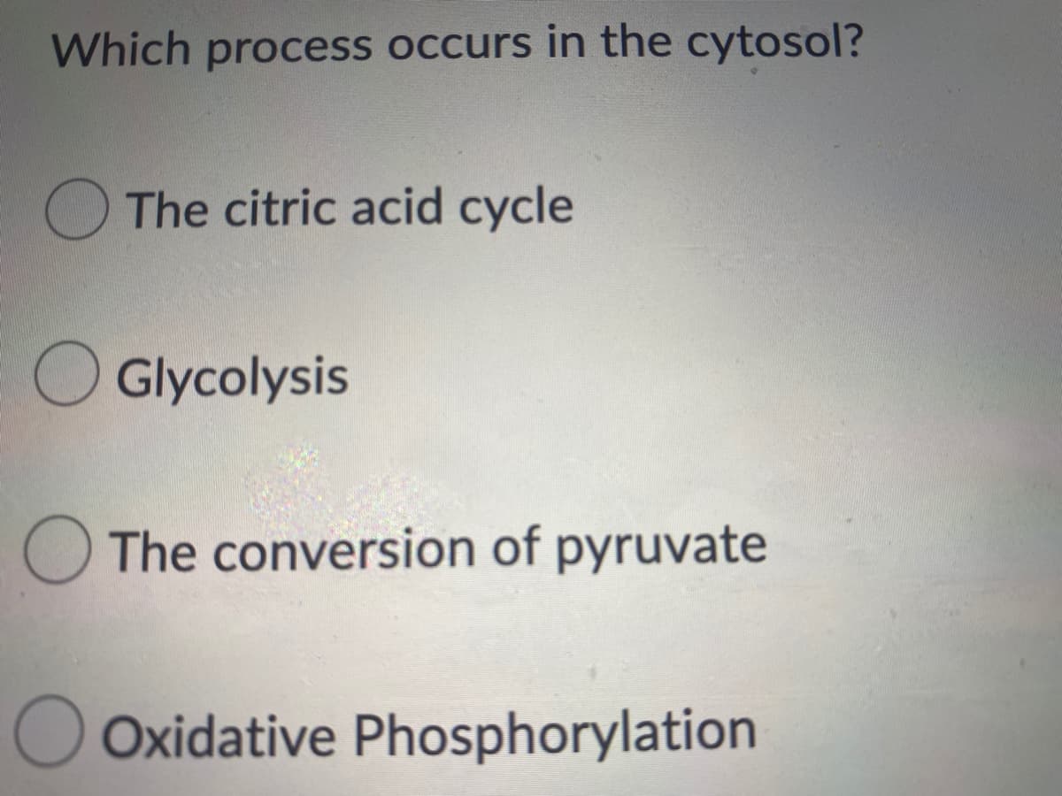 Which process occurs in the cytosol?
O The citric acid cycle
O Glycolysis
O The conversion of pyruvate
O Oxidative Phosphorylation
