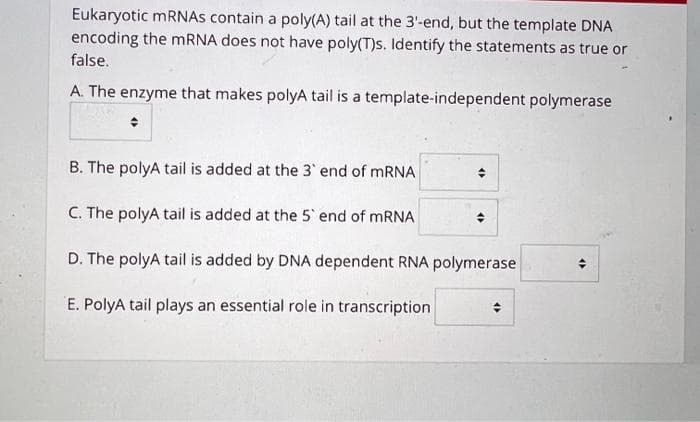 Eukaryotic MRNAS contain a poly(A) tail at the 3'-end, but the template DNA
encoding the mRNA does not have poly(T)s. Identify the statements as true or
false.
A. The enzyme that makes polyA tail is a template-independent polymerase
B. The polyA tail is added at the 3` end of MRNA
C. The polyA tail is added at the 5 end of MRNA
D. The polyA tail is added by DNA dependent RNA polymerase
E. PolyA tail plays an essential role in transcription
