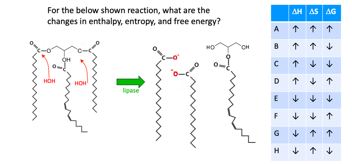 For the below shown reaction, what are the
changes in enthalpy, entropy, and free energy?
OH
附
НОН
НОН
lipase
0=
(一
=0
oc
HO
。
ОН
AHAS | AG
ΔΗ
个个
B ↑↑↓
个
↓
个
↓
个
E ↓ ✓ ✓
↓↑
个个
个
↑↓
A
C
D
F
G
H
个
→ → →
→