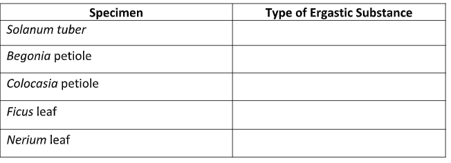 Specimen
Type of Ergastic Substance
Solanum tuber
Begonia petiole
Colocasia petiole
Ficus leaf
Nerium leaf
