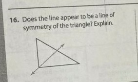 16. Does the line appear to be a line of
symmetry of the triangle? Explain.
