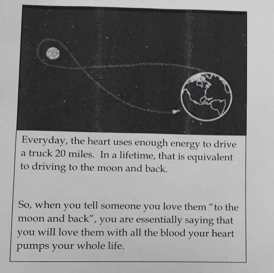 Everyday, the heart uses enough energy to drive
a truck 20 miles. In a lifetime, that is equivalent
to driving to the moon and back.
So, when you tell someone you love them "to the
moon and back", you are essentially saying that
you will love them with all the blood your heart
pumps your whole life.