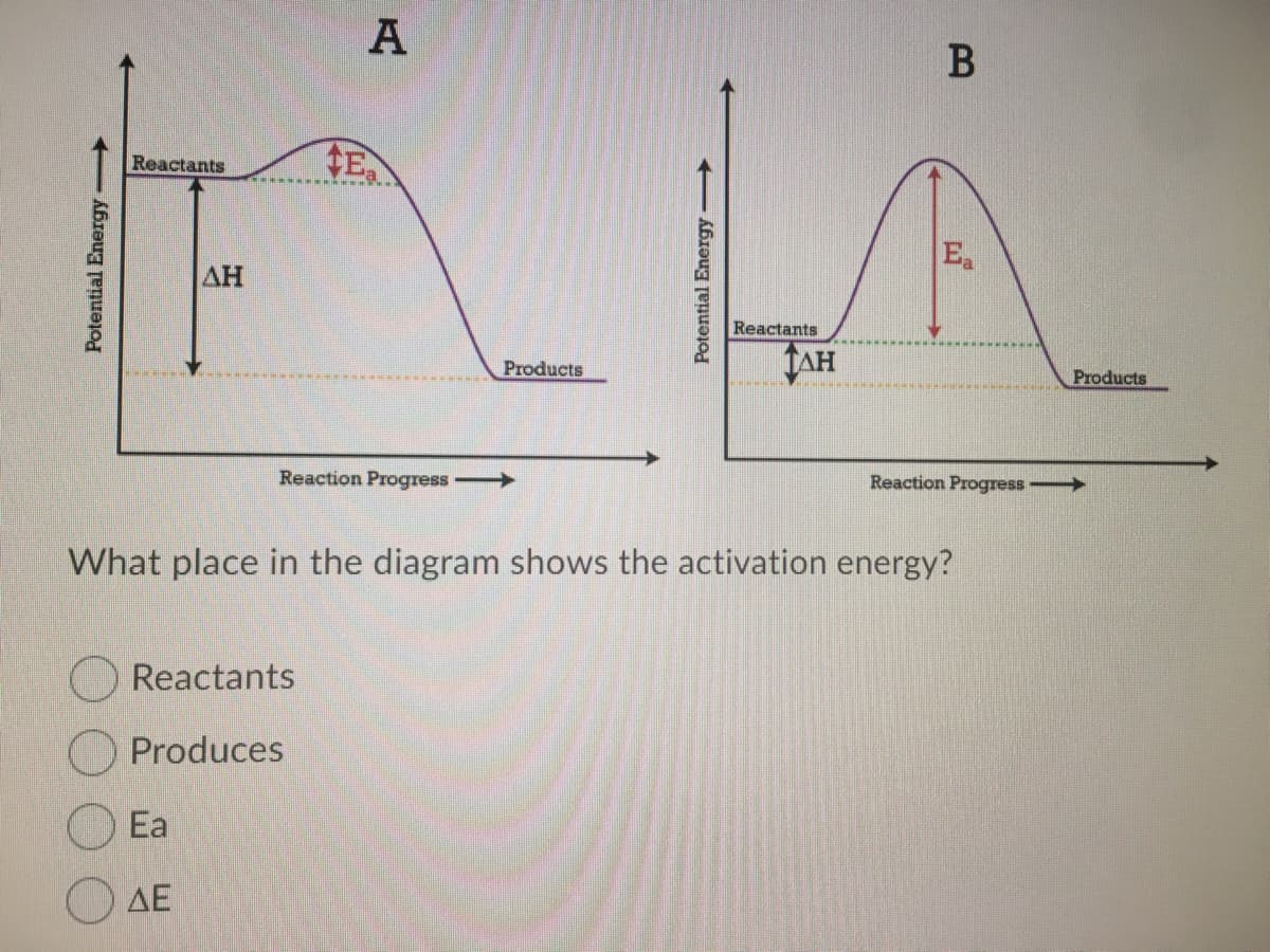 A
Reactants
E.
AH
Reactants
TAH
Products
Products
Reaction Progress
Reaction Progress
What place in the diagram shows the activation energy?
Reactants
O Produces
Ea
O AE
Potential Energy
Potential Energy
B
