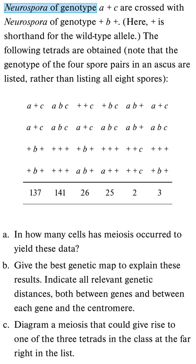 Neurospora of genotype a + c are crossed with
Neurospora of genotype + b +. (Here, + is
shorthand for the wild-type allele.) The
following tetrads are obtained (note that the
genotype of the four spore pairs in an ascus are
listed, rather than listing all eight spores):
a +с abс
+ + c
+ bc ab+
a + c
a +с abc a+с abc ab+ abc
+ b +
+ + +
+ b +
+ + +
+ + c
+ + +
+ b +
+ + + a b +
a + +
+ + c
+ b +
137
141
26
25
3
a. In how many cells has meiosis occurred to
yield these data?
b. Give the best genetic map to explain these
results. Indicate all relevant genetic
distances, both between genes and between
each gene and the centromere.
c. Diagram a meiosis that could give rise to
one of the three tetrads in the class at the far
right in the list.
