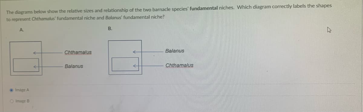 The diagrams below show the relative sizes and relationship of the two barnacle species' fundamental niches. Which diagram correctly labels the shapes
to represent Chthamalus' fundamental niche and Balanus' fundamental niche?
A.
Image A
O Image B
Chthamalus
Balanus
B.
Balanus
Chthamalus