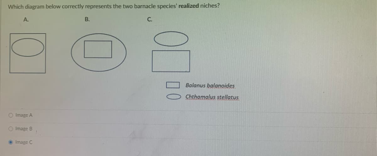 Which diagram below correctly represents the two barnacle species' realized niches?
A.
O Image A
O Image B
Image C
)
B.
C.
Balanus balanoides
Chthamalus stellatus