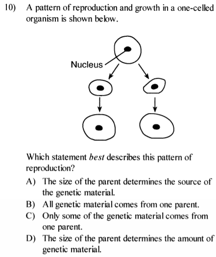 10) A pattern of reproduction and growth in a one-celled
organism is shown belbw.
Nucleus
Which statement best describes this pattern of
reproduction?
A) The size of the parent determines the source of
the genetic material.
B) All genetic material comes from one parent.
C) Only some of the genetic material comes from
one parent.
D) The size of the parent determines the amount of
genetic material.
