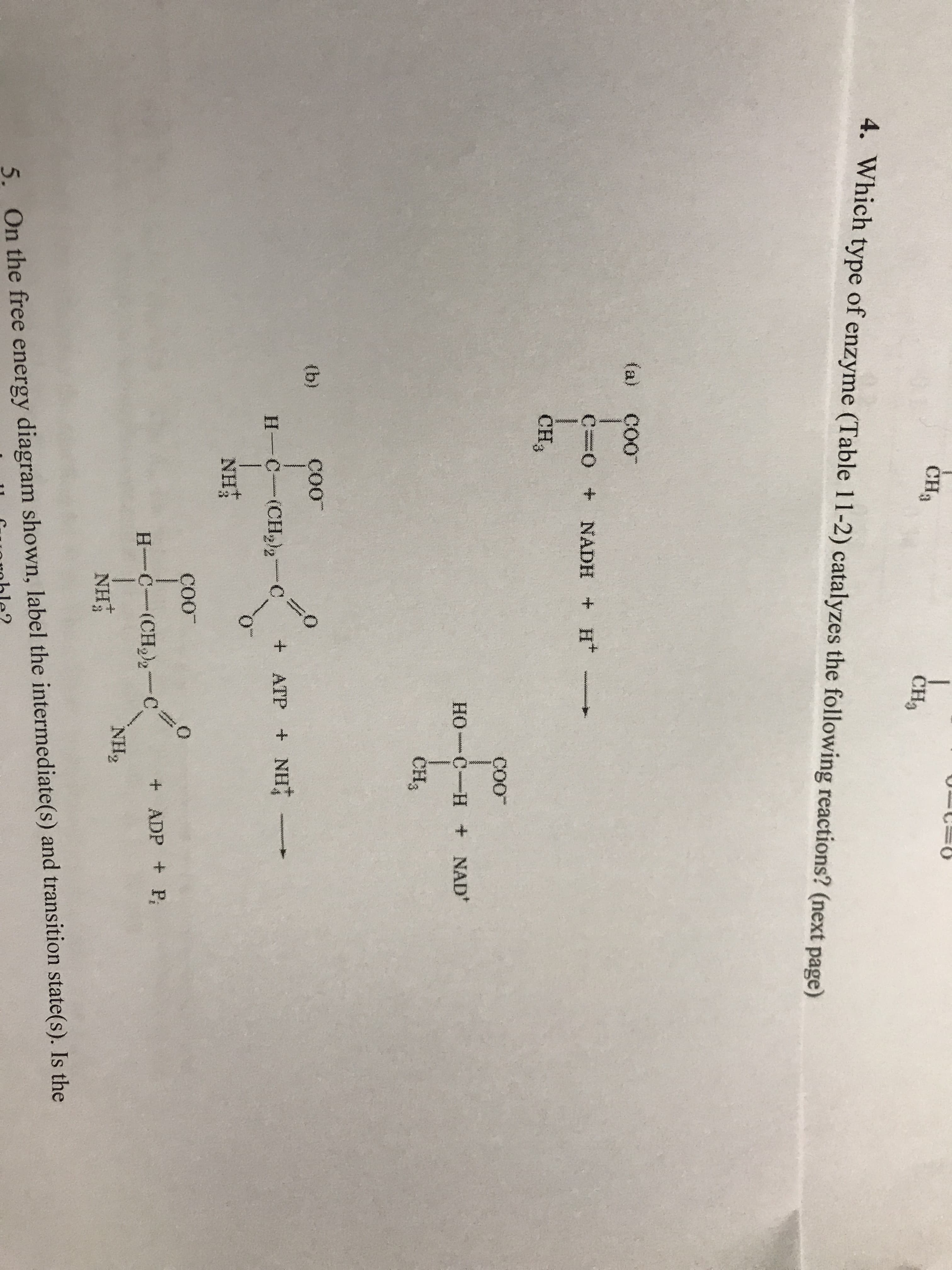 CHa
CH
4. Which type of enzyme (Table 11-2) catalyzes the following reactions? (next page)
(a) Co0
C=O + NADH + H+-
CH3
Coo
HH NAD
CH3
coo
ΝΗ
Coo
+ADP P
NH2
NHİ
5. On the free energy diagram shown, label the intermediate(s) and transition state(s). Is the
ble?
