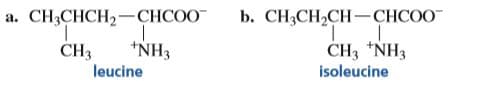 a.
CH,CНCH>-
2—СНСОО
b. СН,CH,CH -— СНCOO"
1.
CH3 *NH3
isoleucine
CH3
*NH3
leucine
