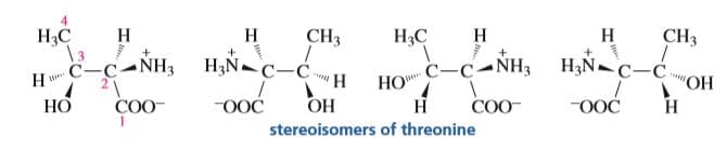 CH3
Н
Н
Н
CH3
H,N-c-C.
Н
Н,С
НС
\ 3
Н
3
c-c-NH3 HạÑ-c-c
-ood
н
HO C-C- NH
"ОН
Н
21
НО
-ooc
Н
COO-
stereoisomers of threonine
ОН
COO-
OOC
OOC
